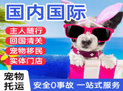 株洲芦淞空运代理国际宠物托运 【国